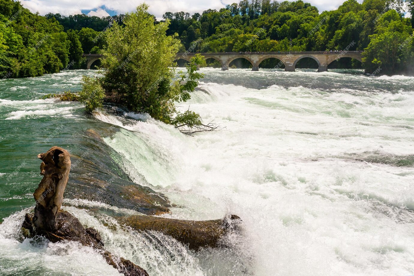 how to get to rhine falls from zurich