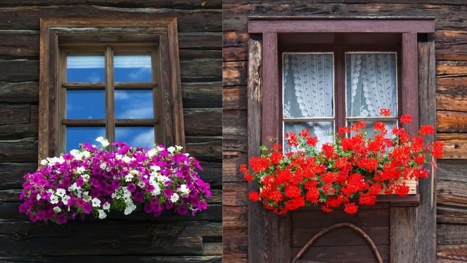 was kostet ein fenster mit einbau schweiz